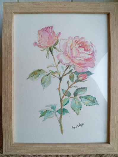 Roses