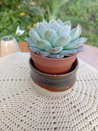 Cache-pot mini Ecorce orange