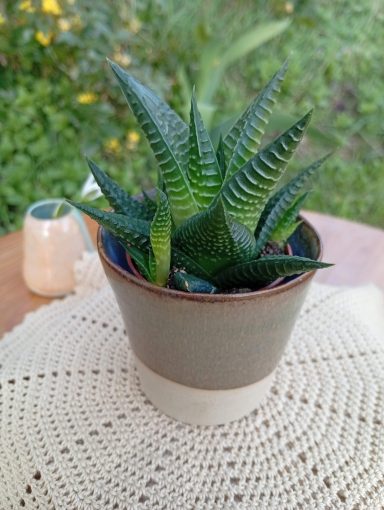 Cache-pot mini Ecorce